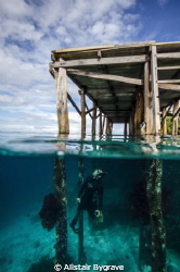 snorkelling under pier in raja ampat by Alistair Bygrave 